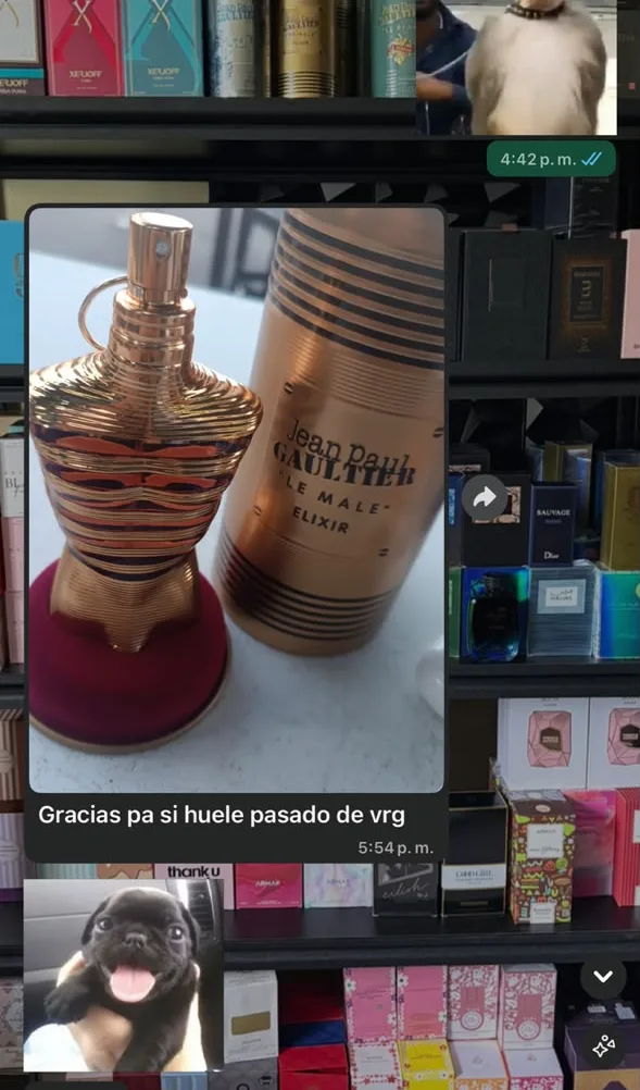 Jean Paul Gaultier Le Male Elixir: "huele pasado de verga"